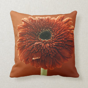 Orange chrysanthemum throw pillow
