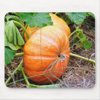 Orange Cinderella Pumpkin Mouse Pad