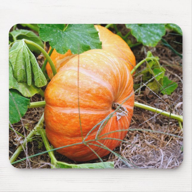 Orange Cinderella Pumpkin Mouse Pad (Front)