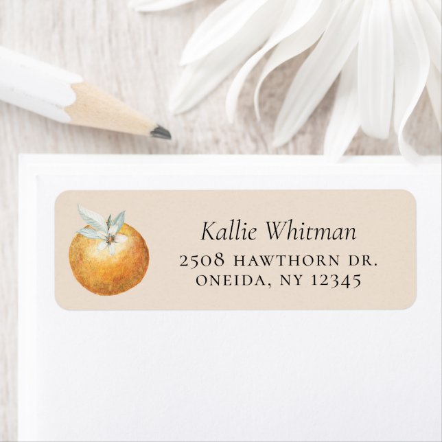 Orange Citrus Fruit Return Address (Insitu)