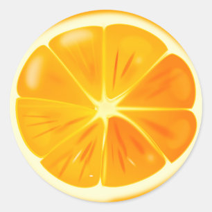 Orange Citrus Slice Sticker Pack