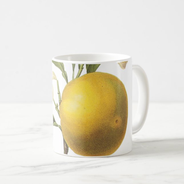 orange(Citrus sp.) by Redouté Coffee Mug (Front Right)