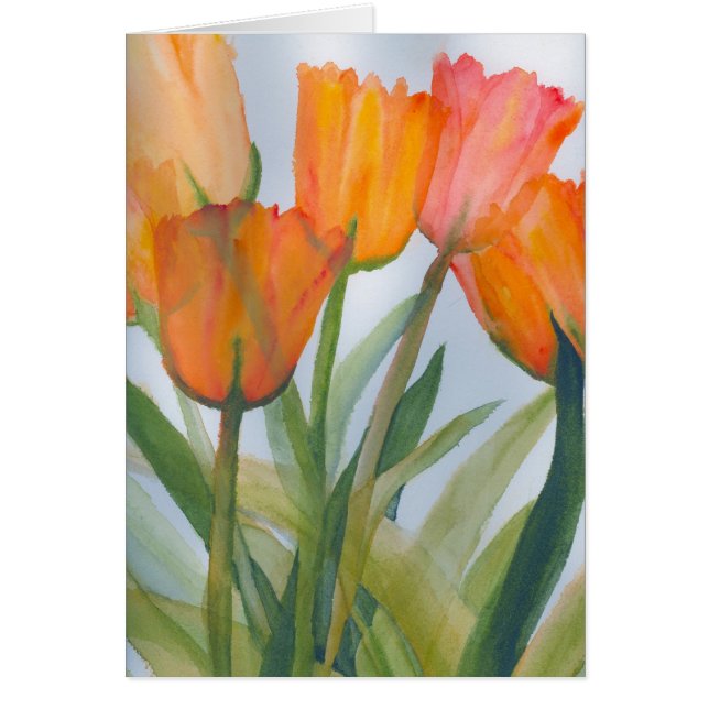 Orange Citrus Tulips (Front)