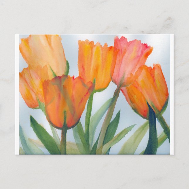 Orange Citrus Tulips Postcard (Front)