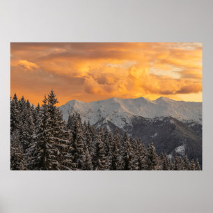 Orange clouds above mountains and spruce forest poster