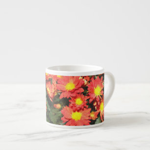 Orange colour daisy flowers. Chrysanthemum. Espresso Cup
