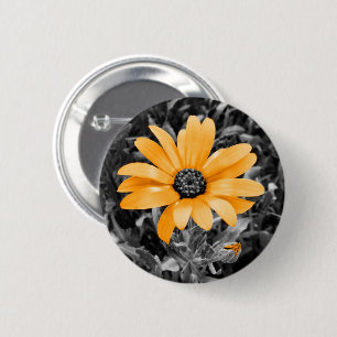 Orange Colour Splash African Daisy Photograph 2 Inch Round Button