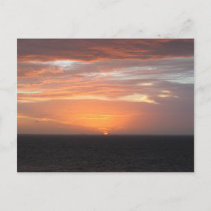 Orange Coloured Sky Postcard