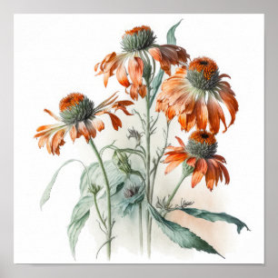 Orange Coneflowers Art Print Poster