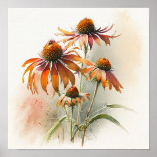 Orange Coneflowers Art Print Poster