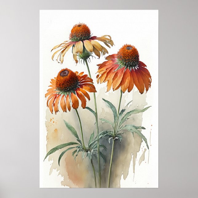 Orange Coneflowers Art Print Poster (Devant)