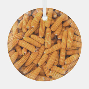 Orange Corn Cob: Harvest Agriculture Background Glass Ornament
