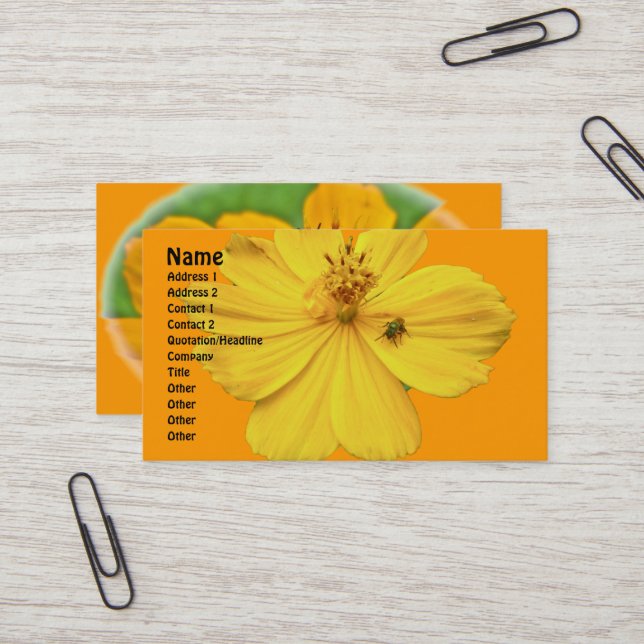 Orange Cosmos Coordinating Items Business Card (Front/Back In Situ)