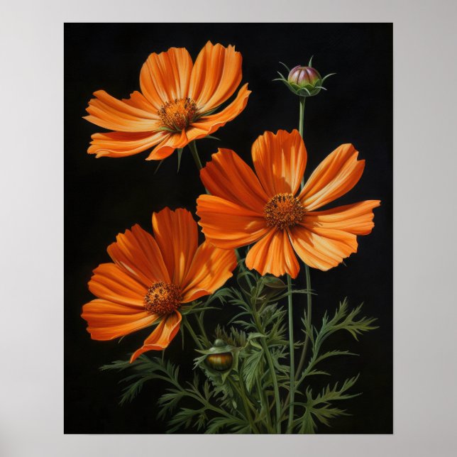 Orange Cosmos Fleurs Art Imprimer Poster (Devant)