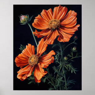 Orange Cosmos Flowers Art Print Poster