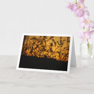 Orange Country Sunset Silhouette Landscape Card