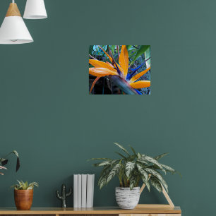 Orange Crane Flower Floral Photographic Poster