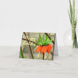 ORANGE CROWN IMPERIAL FLOWER/ BIRTHDAY WISHES CARD