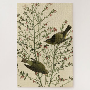 Orange-crowned Warbler, Audubon's Birds of America Jigsaw Puzzle