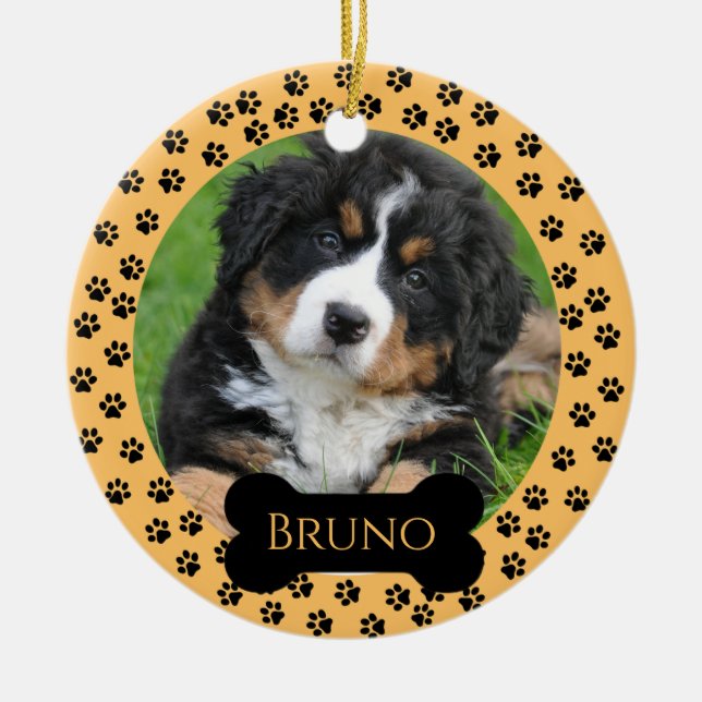 Orange Customizable Pet Ceramic Circle Ornament  (Front)