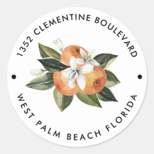 Orange Cutie Tangerine Return Address Classic Round Sticker