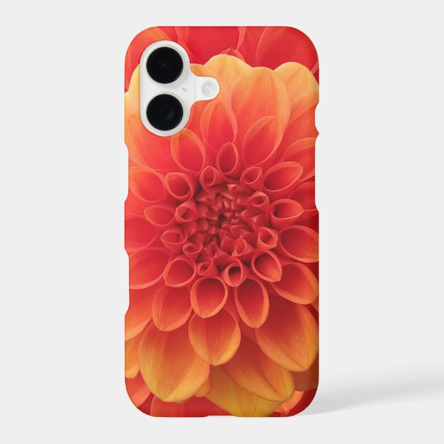 Orange Dahlia (Back)