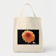 Orange Dahlia – Fine Art Floral Photography