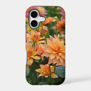 Orange dahlia flower garden
