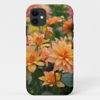 Orange dahlia flower garden