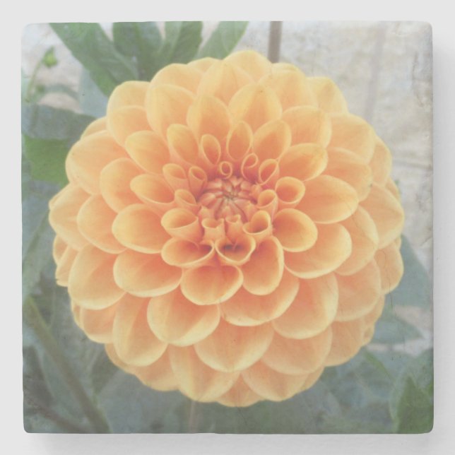 Orange Dahlia Marble Stone Coaster (Front)