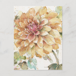 Orange Dahlia Postcard