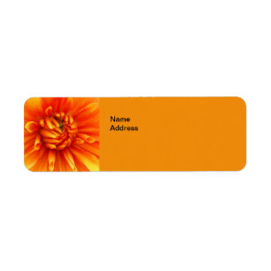 Orange Dahlia  Return Address Labels