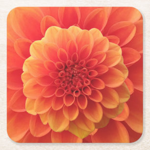 Orange Dahlia Square Paper Coaster