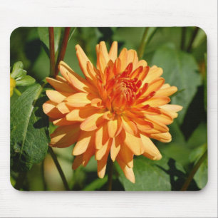 Orange Dahlie mit Knospe und Blätter Mouse Pad