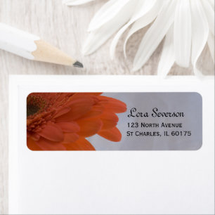Orange Daisy Adresse de retour