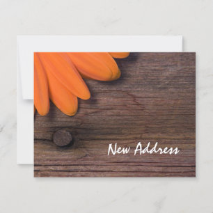 Orange Daisy and Rustic Barn Wood New Address Card