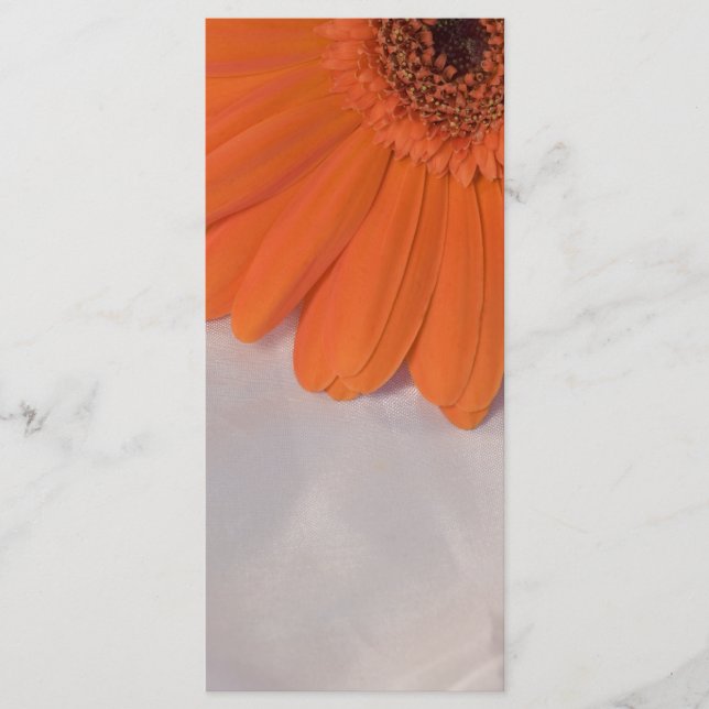 Orange Daisy et White Satin Wedding Programme (Devant)