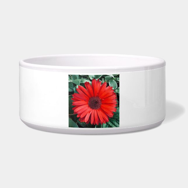 Orange Daisy Floral Bright Modern Flower (Left)