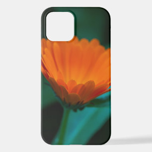 Orange daisy flower iPhone 12 case