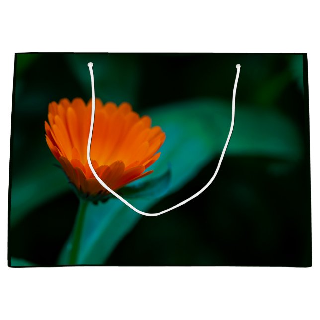 Orange daisy flower large gift bag (Front)