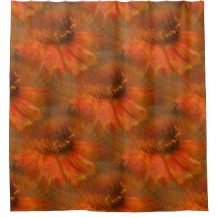 Orange Daisy Flower Nature Art Pattern 