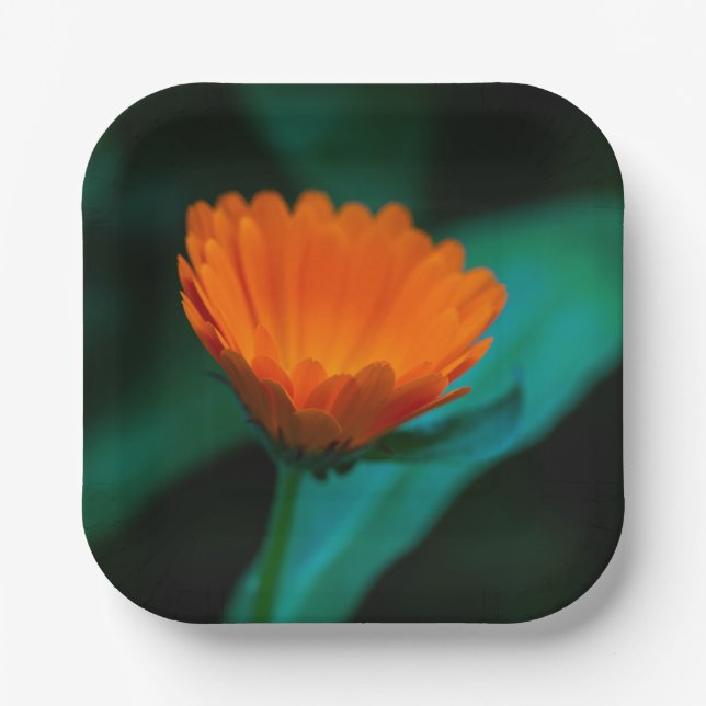 Orange daisy flower paper plate (Front)
