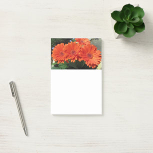 Orange Daisy Flower Photo  Post-it Notes