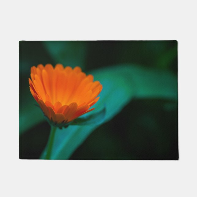 Orange Daisy Flower Photograph Doormat (Front)
