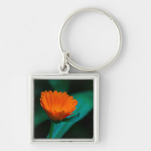 Orange Daisy Flower Photograph Keychain
