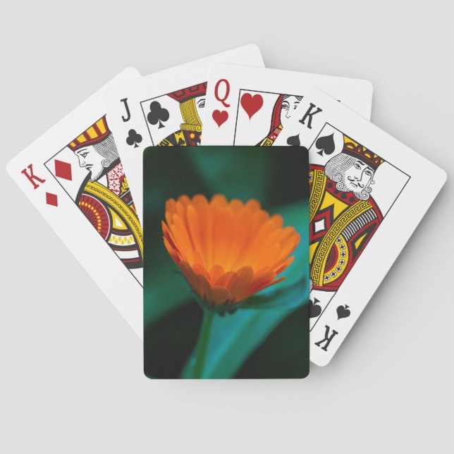 Orange daisy flower playing cards (Back)