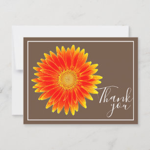 Orange Daisy Flower With Brown Backdrop Thank You Postcard
