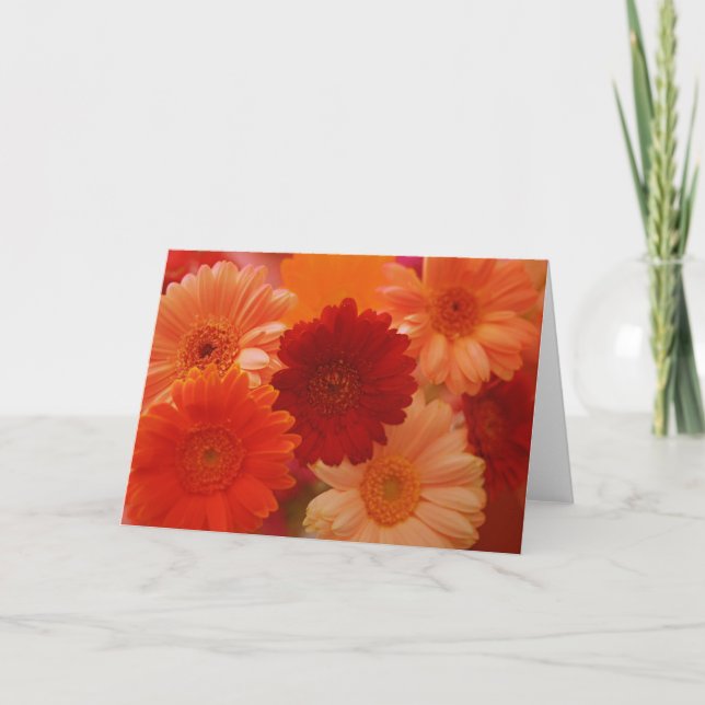 Orange Daisy Flowers Photo Note or Greeting Card (Front)
