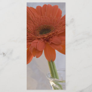 Orange Daisy in Vase Wedding Program