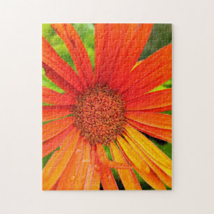 Orange Daisy Jigsaw Puzzle